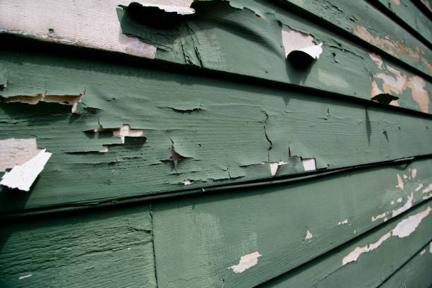Best Property Management Cleanouts  in Roessleville, NY