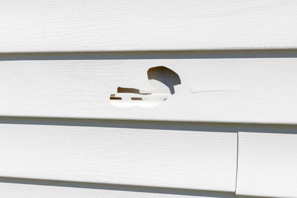 Best Demolition Debris Removal  in Roessleville, NY