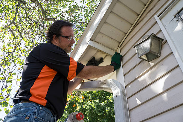 Best Shed Removal  in Roessleville, NY